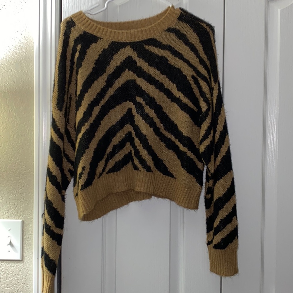 zebra american eagle sweater